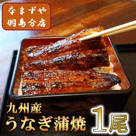 九州産うなぎ蒲焼　1尾〈約120g〉_魚介・海産物 うなぎ  ウナギ 鰻_【配送不可地域：離島】【1533661】