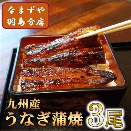 九州産うなぎ蒲焼　3尾〈計約360g〉_魚介・海産物 うなぎ  ウナギ 鰻_【配送不可地域：離島】【1533663】