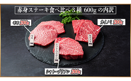 飛騨牛　赤身ステーキ3種食べ比べセット　計約600g　【冷蔵便】A4～A5等級　_肉 ステーキ 牛肉 ビーフステーキ_【配送不可地域：離島】【1534741】