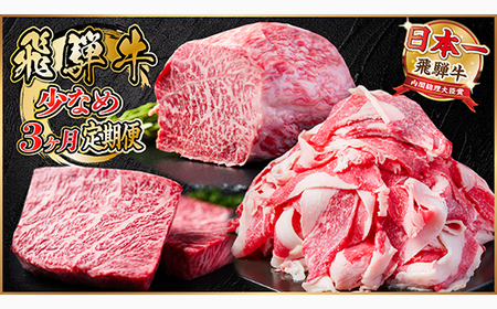 【毎月定期便】飛騨牛 少なめ定期便 計1kg【冷蔵便】全3回 赤身ステーキ 切り落とし 赤身ブロック_肉 ステーキ 牛肉 ビーフステーキ  肉  牛肉   定期便 定期便  _【配送不可地域：離島】【4055497】