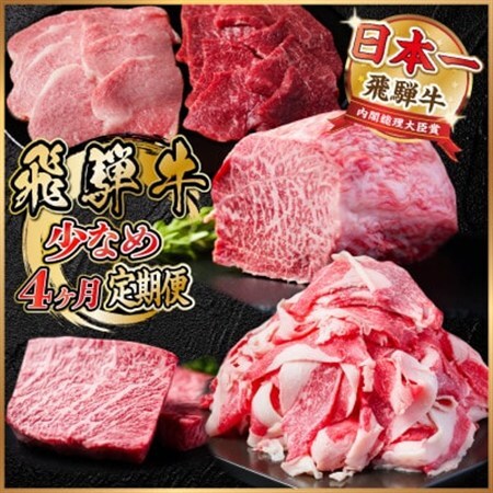 【毎月定期便】飛騨牛 少なめ定期便 計1.3kg 全4回 ステーキ 焼肉 切り落とし 赤身ブロック肉_肉 ステーキ 牛肉 ビーフステーキ  肉 焼肉 牛肉 やきにく ヤキニク バーベキュー  肉  牛肉   定期便 定期便  _【配送不可地域：離島】【4055499】