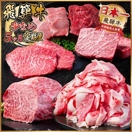 【毎月定期便】飛騨牛 少なめ定期便 計1.8kg 全5回 ステーキ 焼肉 切り落とし 赤身ブロック肉_肉 ステーキ 牛肉 ビーフステーキ  肉 焼肉 牛肉 やきにく ヤキニク バーベキュー  肉  牛肉   定期便 定期便  _【配送不可地域：離島】【4055500】