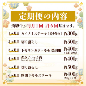【毎月定期便】飛騨牛 少なめ定期便 計2.5kg 全6回 ステーキ、切り落とし、焼肉、赤身ブロック肉_肉 ステーキ 牛肉 ビーフステーキ  肉 焼肉 牛肉 やきにく ヤキニク バーベキュー  肉  牛肉   定期便 定期便  _【配送不可地域：離島】【4055503】