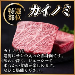 【毎月定期便】飛騨牛 少なめ定期便 計2.5kg 全6回 ステーキ、切り落とし、焼肉、赤身ブロック肉_肉 ステーキ 牛肉 ビーフステーキ  肉 焼肉 牛肉 やきにく ヤキニク バーベキュー  肉  牛肉   定期便 定期便  _【配送不可地域：離島】【4055503】