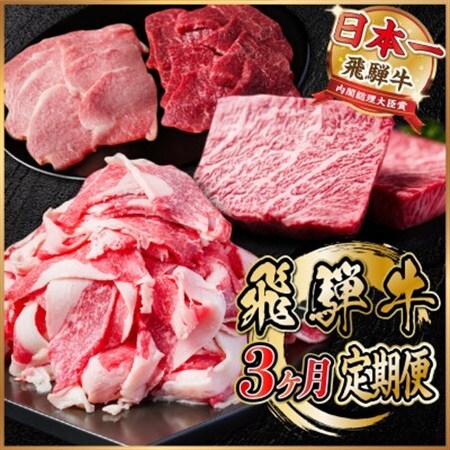 【毎月定期便】飛騨牛 定期便 計1.4kg【冷蔵便】A4～A5 バーベキュー 牛丼 希少部位 全3回_肉 ステーキ 牛肉 ビーフステーキ  肉 焼肉 牛肉 やきにく ヤキニク バーベキュー  肉  牛肉   定期便 定期便  _【配送不可地域：離島】【4055505】