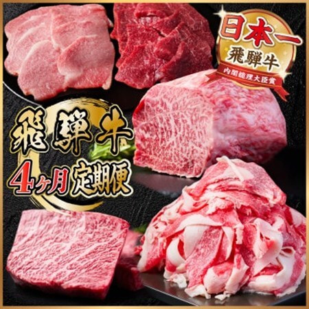 【毎月定期便】飛騨牛 定期便 計1.7kg【冷蔵便】A4～A5 バーベキュー ローストビーフ 全4回_肉 ステーキ 牛肉 ビーフステーキ  肉 焼肉 牛肉 やきにく ヤキニク バーベキュー  肉  牛肉   定期便 定期便  _【配送不可地域：離島】【4055506】