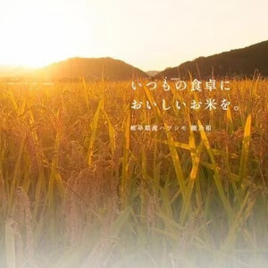 令和7年産　岐阜県産ハツシモ(玄米)5kg  国産 米_ 玄米 米 こめ コメ_【配送不可地域：離島】【1540548】