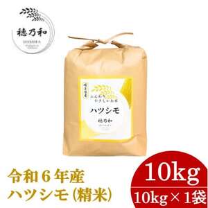 岐阜県産ハツシモ(精米)10kg【配送不可地域：離島】【1540844】