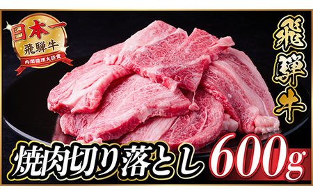 飛騨牛 焼肉切り落とし 約600g(約300g×2)タレ付き 訳あり【冷蔵便】A4～A5等級黒毛和牛_肉 焼肉 牛肉 やきにく ヤキニク バーベキュー_【配送不可地域：離島】【1543372】