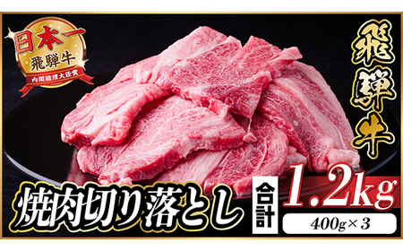飛騨牛 焼肉切り落とし 約1.2kg(約400g×3)タレ付き 訳あり【冷蔵便】A4～A5 黒毛和牛_肉 焼肉 牛肉 やきにく ヤキニク バーベキュー_【配送不可地域：離島】【1543587】