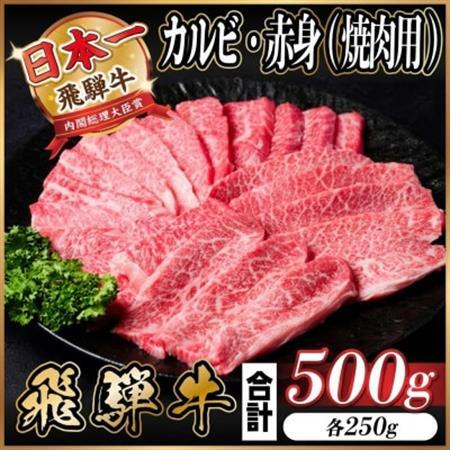 飛騨牛 カルビ・赤身(焼肉・BBQセット)500g 小分け 黒毛和牛 A4～A5等級_肉 焼肉 牛肉 やきにく ヤキニク バーベキュー  肉 飛騨牛 牛肉 うし ビーフ_【配送不可地域：離島】【1543761】