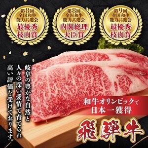飛騨牛 霜降・赤身スライス食べ比べセット　計500g すき焼き・しゃぶしゃぶ用　黒毛和牛_肉 すき焼き 牛肉 すきやき スキヤキ  肉 しゃぶしゃぶ 牛肉 牛しゃぶ  肉 飛騨牛 牛肉 うし ビーフ_【配送不可地域：離島】【1543810】