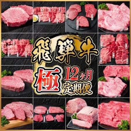【毎月定期便】飛騨牛 極定期便 計12.9kg【冷蔵便】A4～A5等級 シャトーブリアンほか全12回_肉 ステーキ 牛肉 ビーフステーキ  肉 すき焼き 牛肉 すきやき スキヤキ  肉 焼肉 牛肉 やきにく ヤキニク バーベキュー  肉 飛騨牛 牛肉 うし ビーフ  定期便 定期便  _【配送不可地域：離島】【4055987】