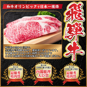 【12/20ご入金分まで年内発送】飛騨牛 厳選カルビ・赤身(焼肉・BBQ用)1kg 小分け_肉 焼肉 牛肉 やきにく ヤキニク バーベキュー  肉 飛騨牛 牛肉 うし ビーフ_【配送不可地域：離島】【1543764】