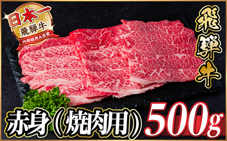 飛騨牛 厳選赤身(焼肉・BBQ用)500g　A4～A5等級　黒毛和牛　小分け_肉 焼肉 牛肉 やきにく ヤキニク バーベキュー  肉 飛騨牛 牛肉 うし ビーフ_【配送不可地域：離島】【1543752】