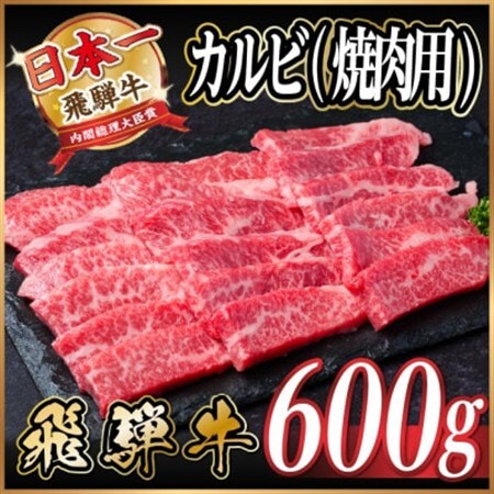 飛騨牛 厳選カルビ(焼肉・BBQ用) 600g(300g×2) 黒毛和牛 小分け A4～A5等級_肉 焼肉 牛肉 やきにく ヤキニク バーベキュー  肉 飛騨牛 牛肉 うし ビーフ_【配送不可地域：離島】【1543783】