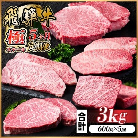 【毎月定期便】飛騨牛 極ステーキ定期便　計約3kg【冷蔵便】全5回　A4～A5等級　黒毛和牛_肉 ステーキ 牛肉 ビーフステーキ  肉 飛騨牛 牛肉 うし ビーフ  定期便 定期便  _【配送不可地域：離島】【4056916】