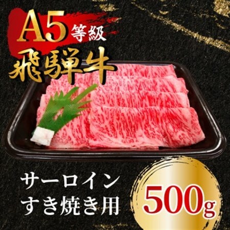 飛騨牛5等級 サーロインすき焼き用500g　FTA167_肉 すき焼き 牛肉 すきやき スキヤキ  肉 飛騨牛 牛肉 うし ビーフ_【配送不可地域：離島】【1578156】