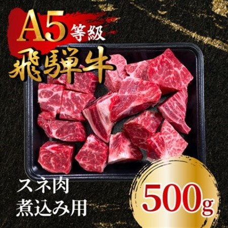 飛騨牛5等級 スネ肉煮込み用500g　FTA281_肉 飛騨牛 牛肉 うし ビーフ_【配送不可地域：離島】【1578292】