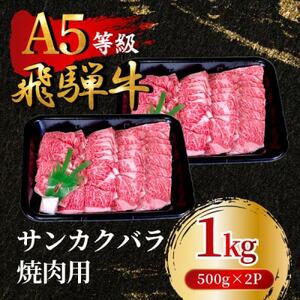 飛騨牛5等級 サンカクバラ焼肉用1kg(500g×2P)　FTA285_肉 焼肉 牛肉 やきにく ヤキニク バーベキュー  肉 飛騨牛 牛肉 うし ビーフ_【配送不可地域：離島】【1578303】