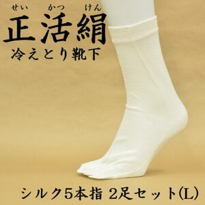 正活絹 冷えとり靴下 シルク5本指 2足セット(Lサイズ)_装飾品・工芸品  服飾小物 _【1584069】