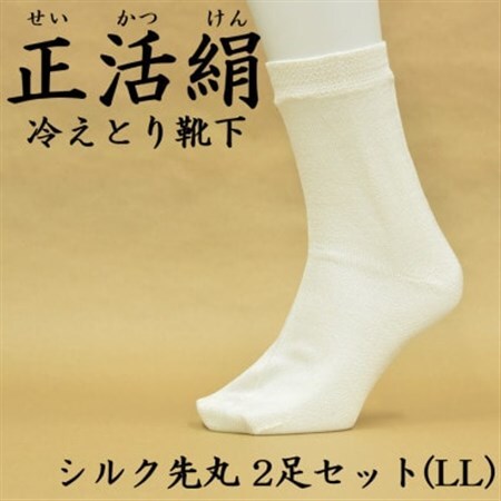 正活絹 冷えとり靴下 シルク先丸 2足セット(LLサイズ)_装飾品・工芸品  服飾小物 _【1584123】