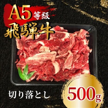 飛騨牛5等級 切り落とし500g　FTA195_肉 飛騨牛 牛肉 うし ビーフ_【配送不可地域：離島】【1578212】