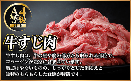 飛騨牛 牛すじ肉 約500g 訳あり【冷蔵便】A4~A5等級【配送不可地域:離島】【1634455】