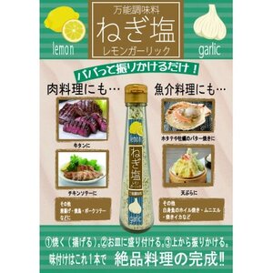 ねぎ塩レモンガーリック3本セット【1636650】