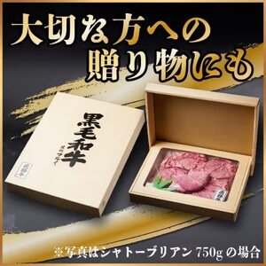 【2ヵ月毎定期便】飛騨牛 シャトーブリアン600g【冷蔵便】A4～A5等級 黒毛和牛 贈答用全6回【配送不可地域：離島】【4070273】