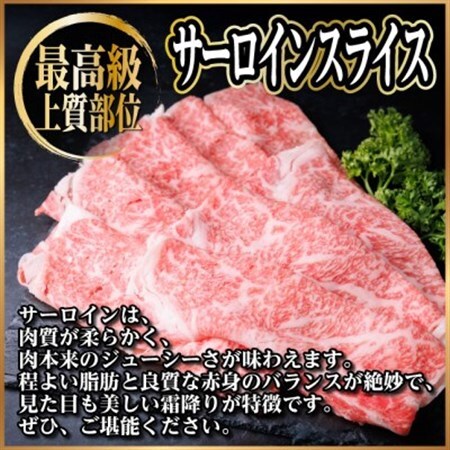 飛騨牛　厳選サーロインスライス　400g(しゃぶしゃぶ用)　黒毛和牛　A4～A5等級【配送不可地域：離島】【1653655】