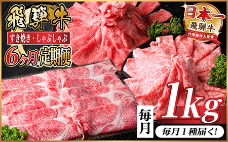 【毎月定期便】飛騨牛　厳選すき焼き・しゃぶしゃぶ用　定期便　1kg全6回【配送不可地域：離島】【4072497】