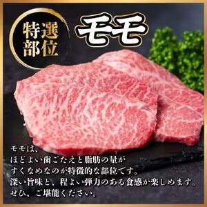 【毎月定期便】飛騨牛 赤身定期便 計1.6kg 焼肉 BBQ すき焼き しゃぶしゃぶ ブロック全4回【配送不可地域:離島】【4072648】
