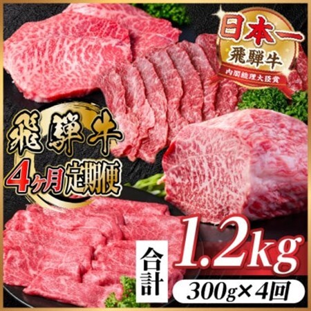 【毎月定期便】飛騨牛 赤身定期便 計1.2kg 焼肉 BBQ すき焼き しゃぶしゃぶ ブロック全4回【配送不可地域：離島】【4072753】
