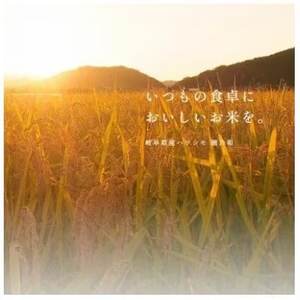 【発送月固定定期便】生産者応援!岐阜県産ハツシモ(無洗米)10kg【1・2・3月発送】全3回【配送不可地域:離島】【4073162】