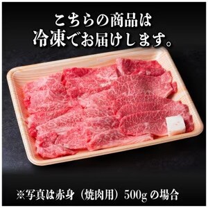 【ふるなびWEEK対象】【12/20ご入金分まで年内発送】飛騨牛　厳選肩ロース・赤身(焼肉・BBQ用) 計1.2kg FN-Limited-PR【配送不可地域：離島】【1667366】