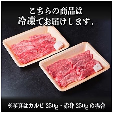飛騨牛 厳選カルビ・赤身(焼肉・BBQ用) 計1.6kg(各800g) 黒毛和牛 小分け【配送不可地域:離島】【1667428】