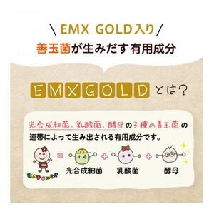 【ふるなびWEEK対象】美里のおいしいごはん(コシヒカリ100%使用)　200g入×18個　防腐剤不使用　パックご飯　FN-Limited-PR【1668617】