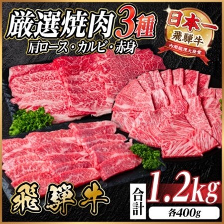 飛騨牛　厳選焼肉3種(肩ロース・カルビ・赤身)　計1.2kg(各400g) 黒毛和牛　小分け【配送不可地域：離島】【1669123】