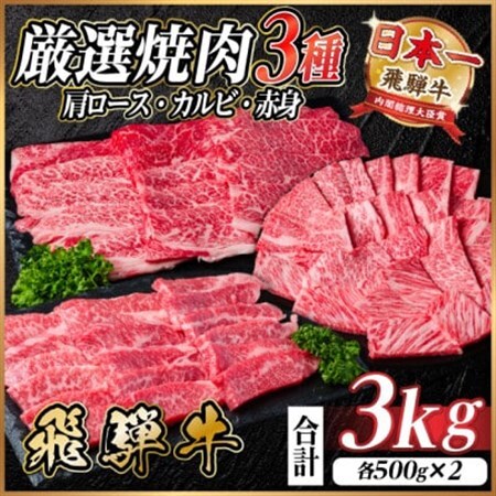 飛騨牛　厳選焼肉3種(肩ロース・カルビ・赤身)　計3kg(各1kg) 黒毛和牛　小分け【配送不可地域：離島】【1669125】