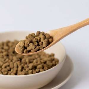 国産ドッグフード 国産鹿肉使用 セミドライタイプ 700g【1666133】