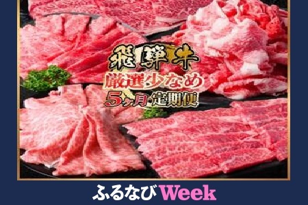 【ふるなびWEEK対象】【毎月定期便】飛騨牛　厳選少なめ定期便　計1.6kg　カルビ・赤身(焼肉・BBQ用)ロース全5回 FN-Limited-PR【配送不可地域：離島】【4075149】