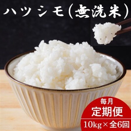 【毎月定期便】岐阜県産ハツシモ(無洗米) 10kg全6回【配送不可地域：離島】【4076354】