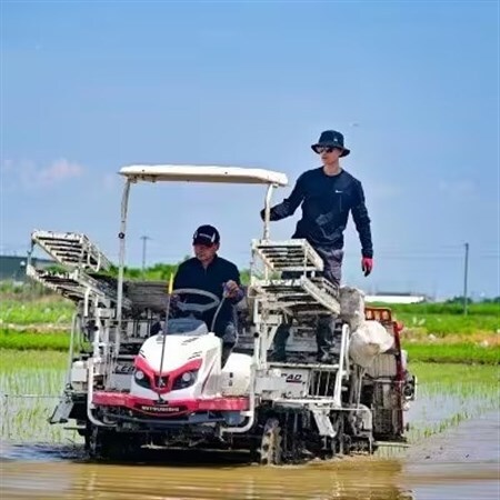 【2ヵ月毎定期便】岐阜県産ハツシモ(無洗米) 10kg全4回【配送不可地域：離島】【4076361】