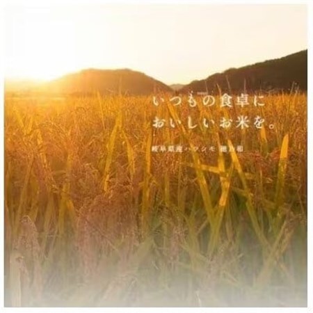 【毎月定期便】岐阜県産ハツシモ(無洗米) 5kg全3回【配送不可地域:離島】【4076367】