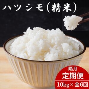 【2ヵ月毎定期便】岐阜県産ハツシモ(精米) 10kg全6回【配送不可地域：離島】【4076400】