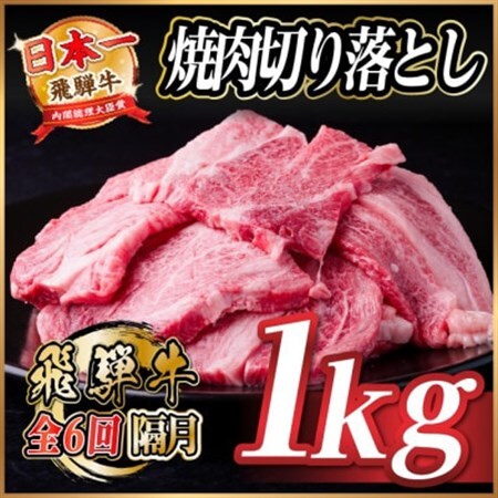 【2ヵ月毎定期便】飛騨牛 焼肉切り落とし 約1kg(約500g×2)タレ付き 訳あり全6回【配送不可地域：離島】【4084216】