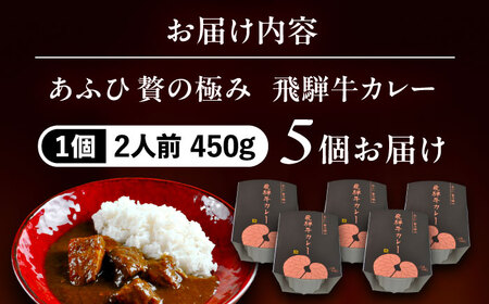 -あふひ 贅の極み- 飛騨牛カレー 2人前×5個セット / 恵那市 / テンポイント [AUEU004]