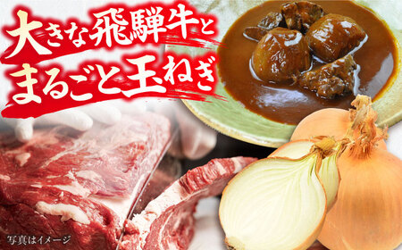 -あふひ 贅の極み- まるごと玉葱と飛騨牛のシチュー 2人前×5個セット / 恵那市 / テンポイント [AUEU008]