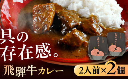 -あふひ 贅の極み- 飛騨牛 カレー 2人前×2個 / 恵那市 / テンポイント [AUEU001] カレー